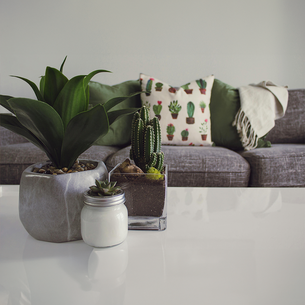 Decoração