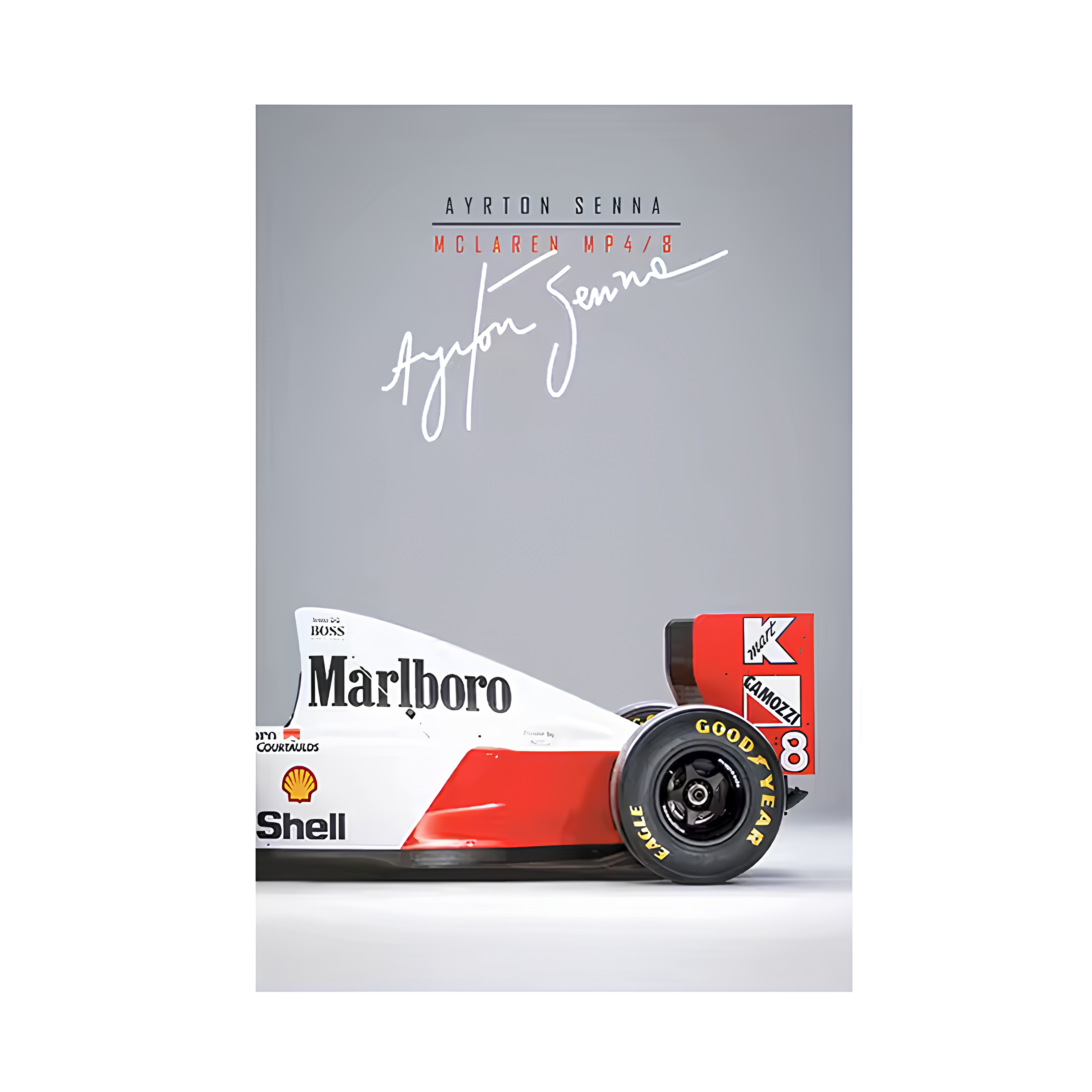 Pôster / Quadro Decorativo F1 McLaren MP4/8 Ayrton Senna